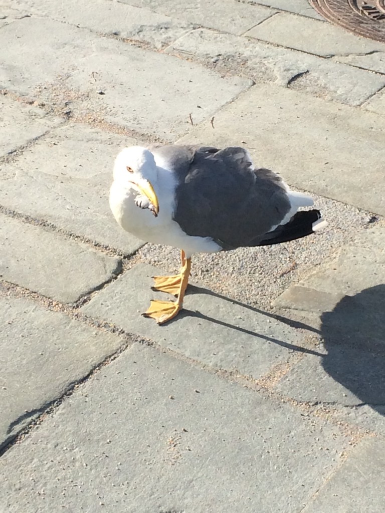 platja d'aro20017 220