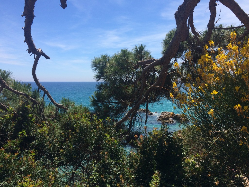 platja d'aro20017 254