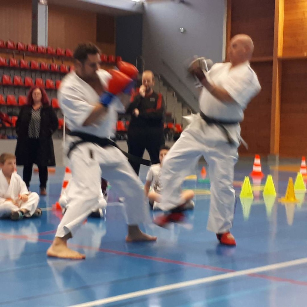 94A96573-4726-4F91-8953-60FC8AE1911B