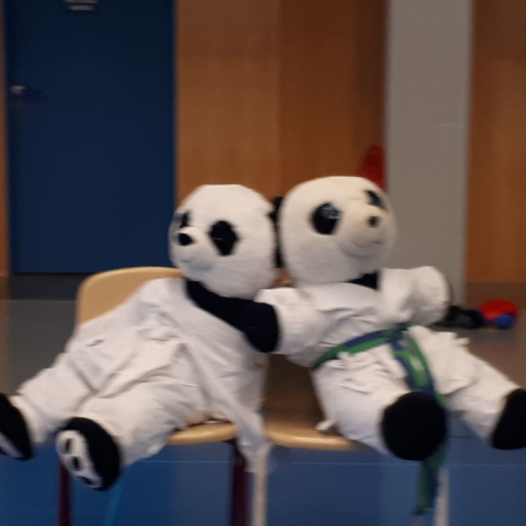 D27ACFF0-21D1-42E0-9FE6-C1990F40EFBE