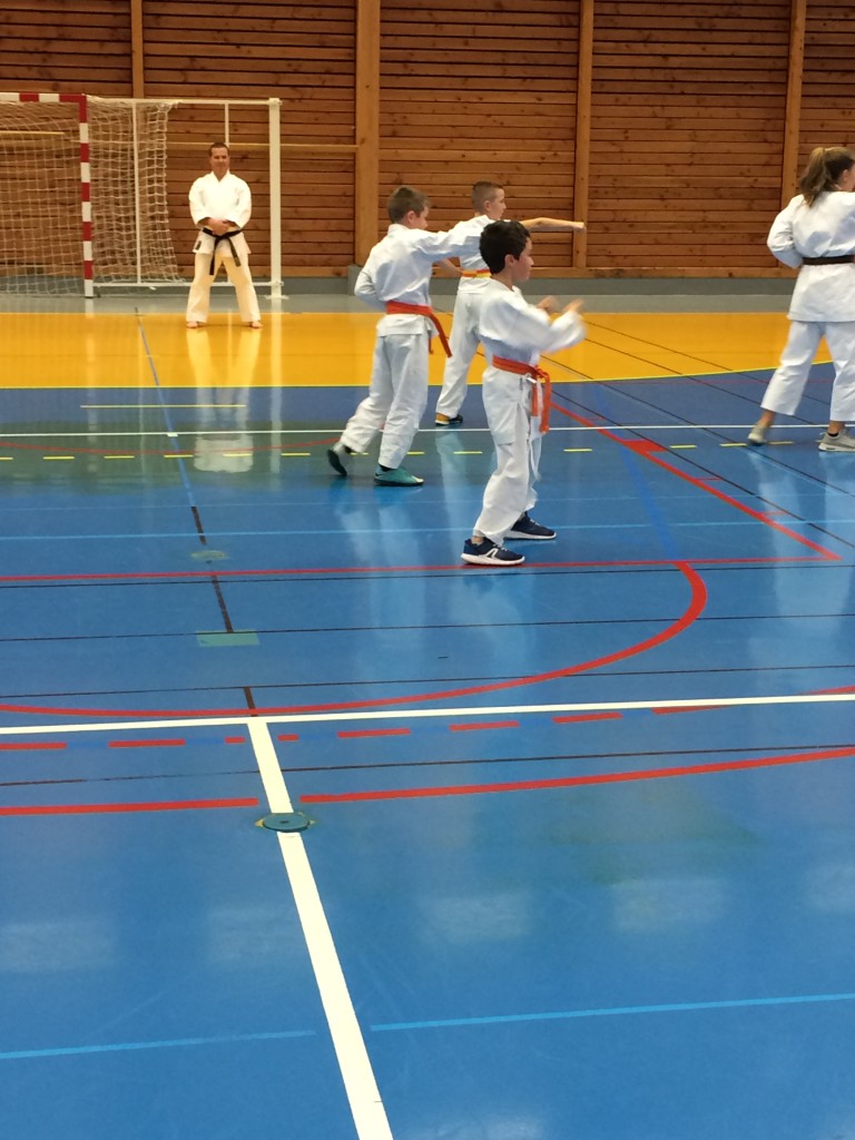 D781F767-3780-4E7F-9588-47E8F7DB3B75